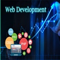 biggest web development companies