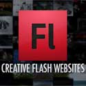 flash website design