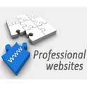 professional web page design