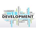 professional website development company