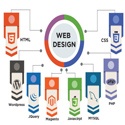 best web designers in mumbai